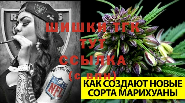 сатива Вяземский