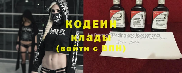 сатива Вяземский