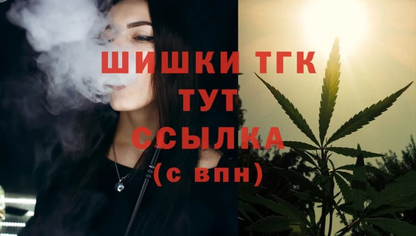 гидра Горнозаводск