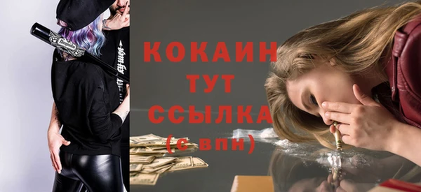 сатива Вяземский