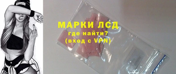 сатива Вяземский