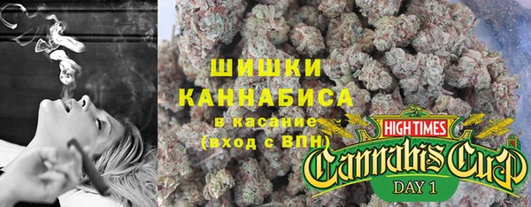 гидра Горнозаводск