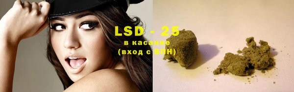 сатива Вяземский