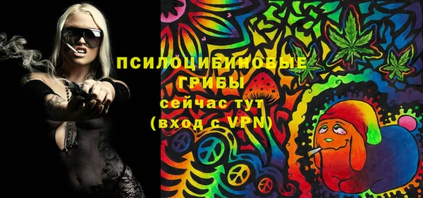 марки lsd Горняк